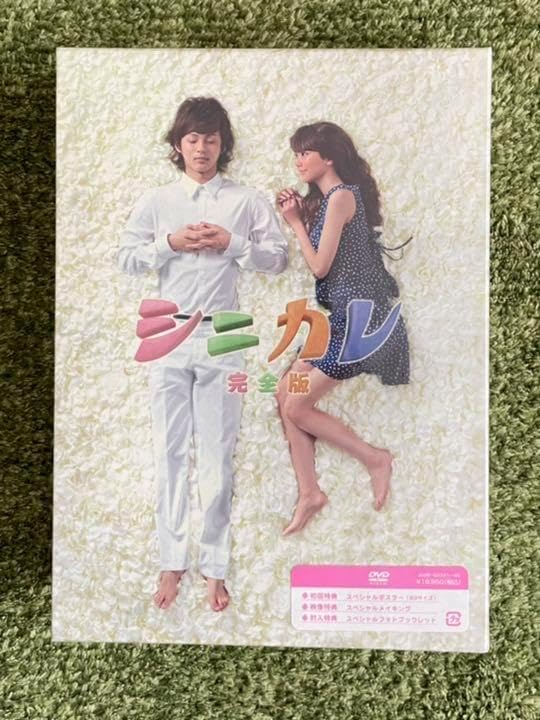 シニカレD V D・